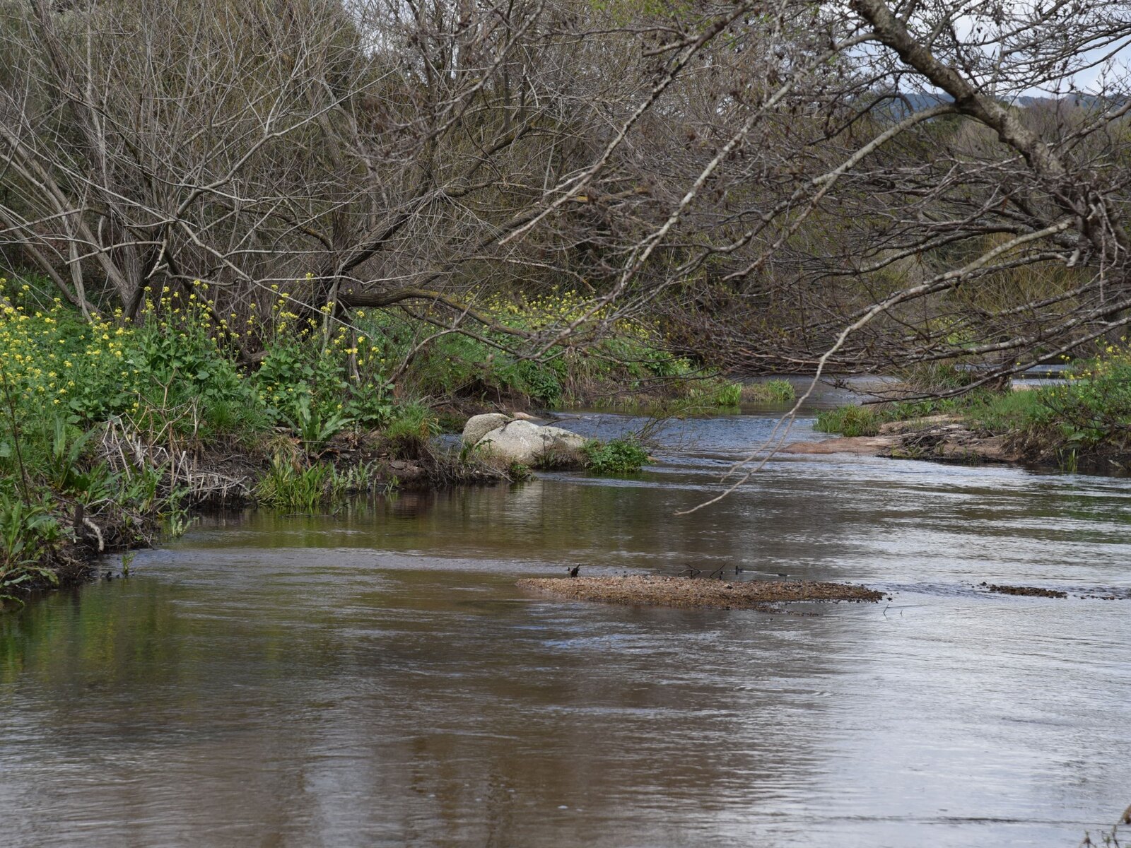 Corso d’acqua naturale nella tenuta Agrosarda