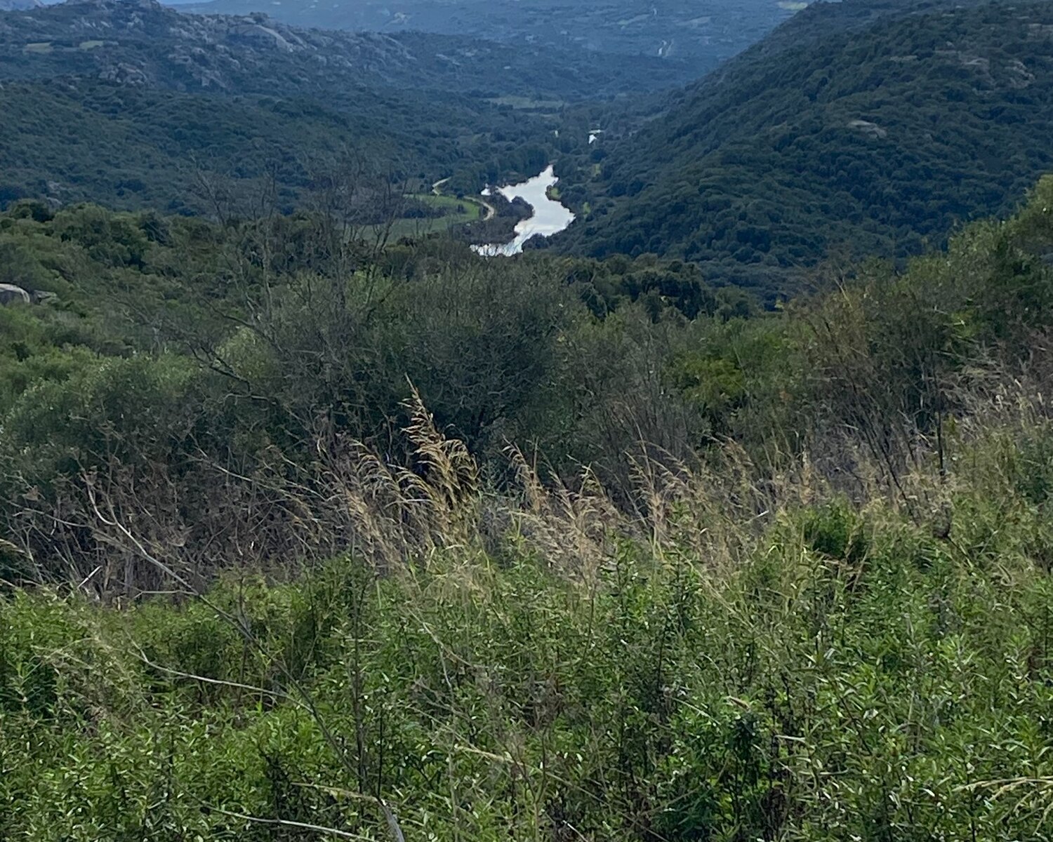 Paesaggio naturale della Gallura