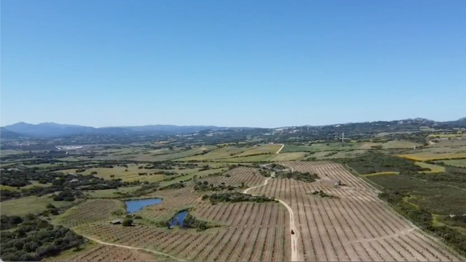 Vista aerea del mandorleto Agrosarda e del bacino d’acqua a forma di cuore