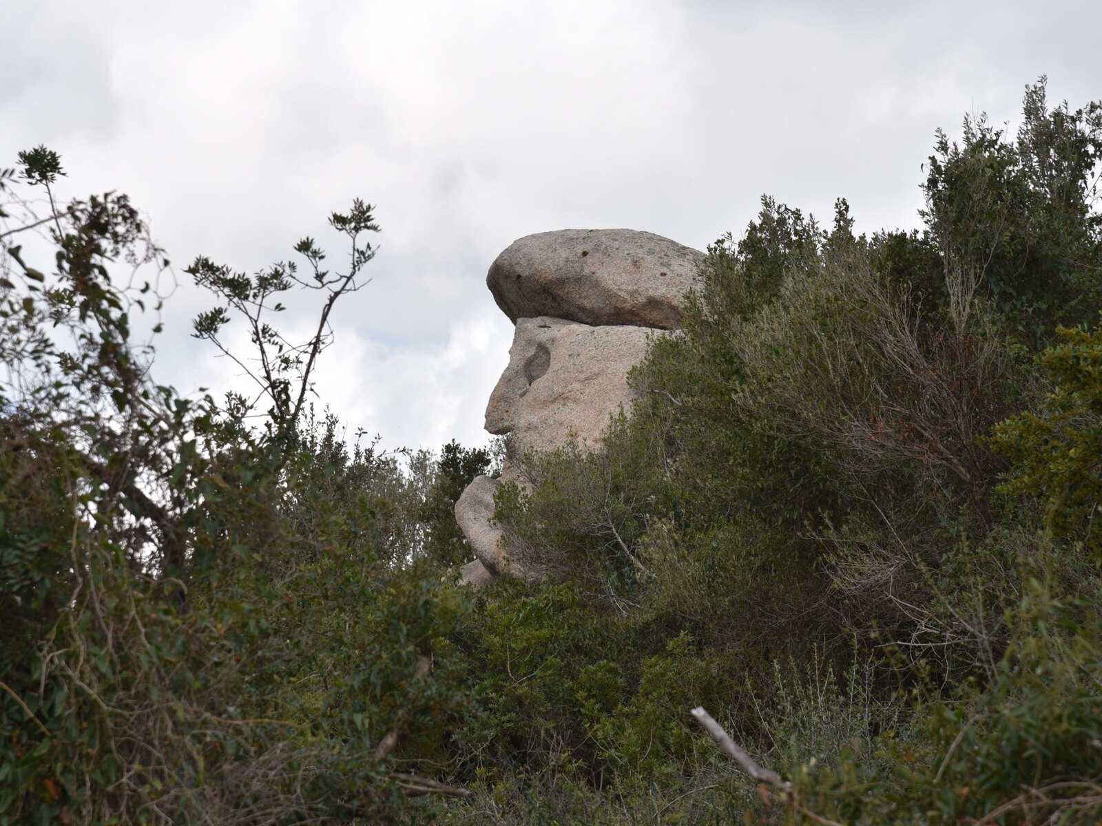 Formazione granitica nel paesaggio Agrosarda